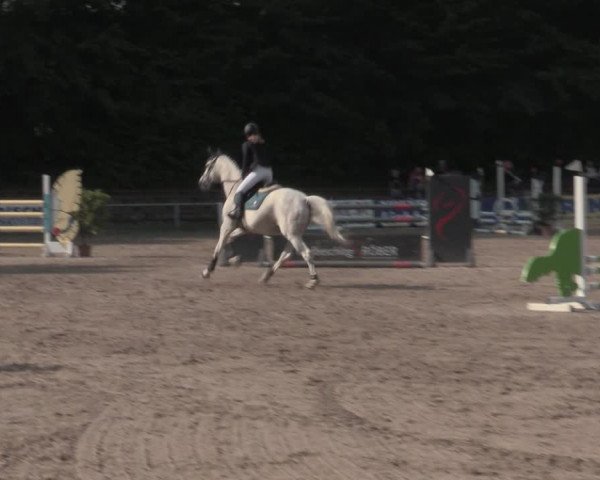 Reitturnier Lgl.-Oberhain, B95 2022
