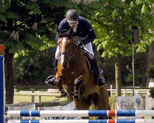 jumper Donna (Oldenburg, 2007, from Don Pascal)