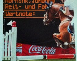 jumper Balougrace Z (Zangersheide riding horse, 2008, from Balougran)
