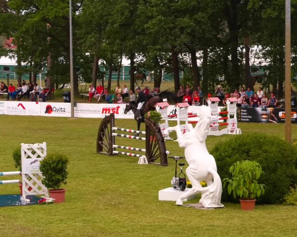 Reitturnier Cottbus-Sielow 2022