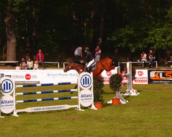 Reitturnier Cottbus-Sielow 2022