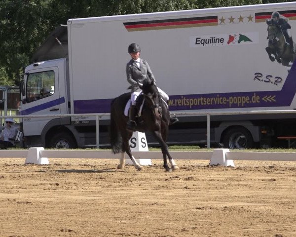 Reitturnier Pennigbüttel 2022