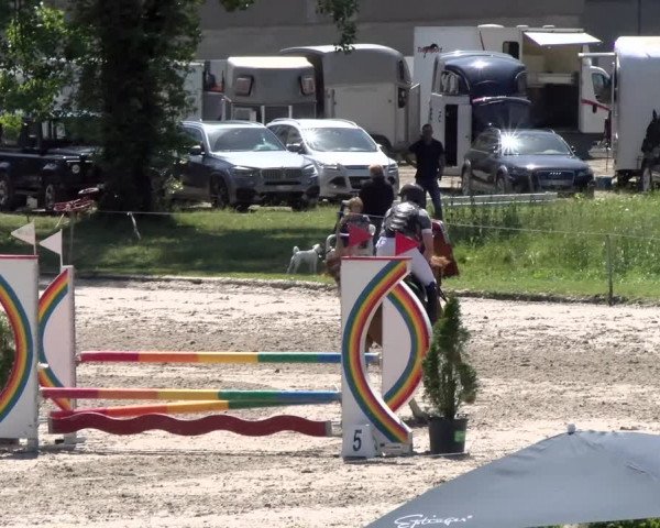 Reitturnier Schänzli, Basel 2022