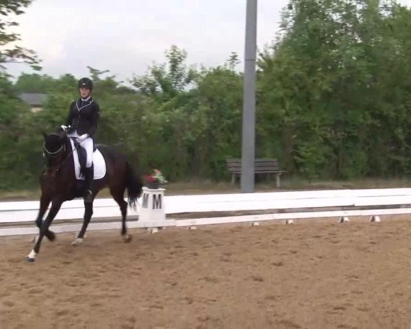 Reitturnier Neustadt/Aisch/Mfr. 2022