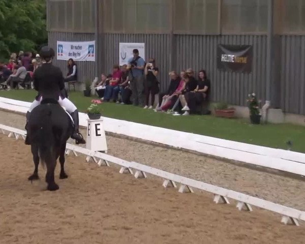 Reitturnier Neustadt/Aisch/Mfr. 2022