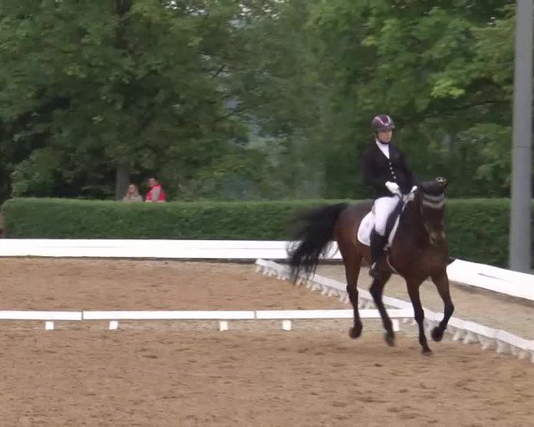 Reitturnier Neustadt/Aisch/Mfr. 2022