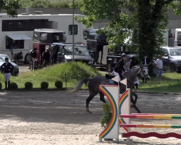 Reitturnier Schänzli, Basel 2022