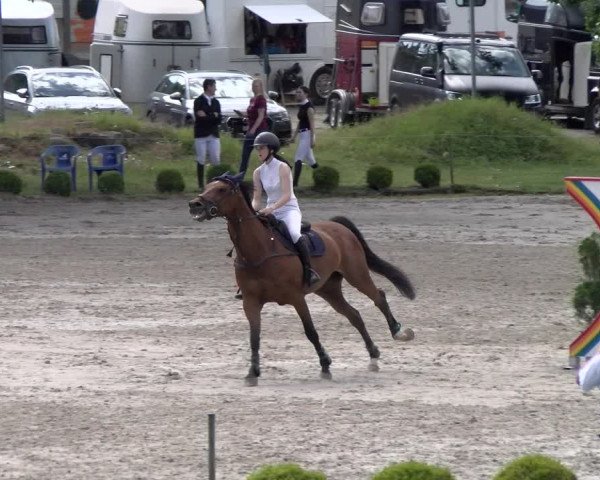 Reitturnier Schänzli, Basel 2022