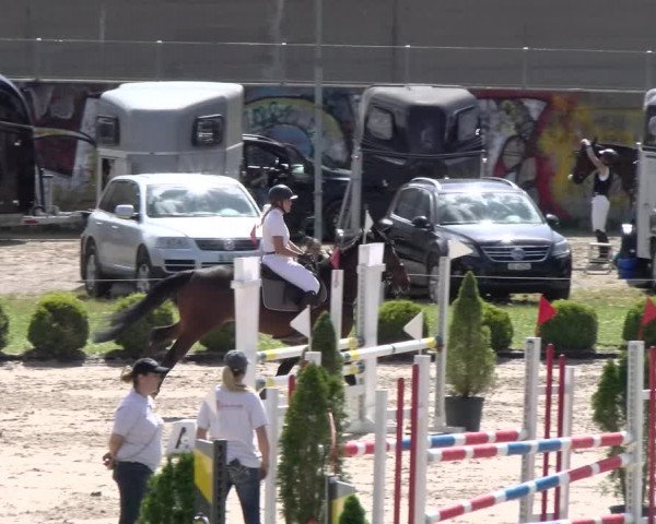 Reitturnier Schänzli, Basel 2022