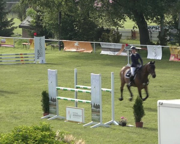 Reitturnier Pennigbüttel 2022