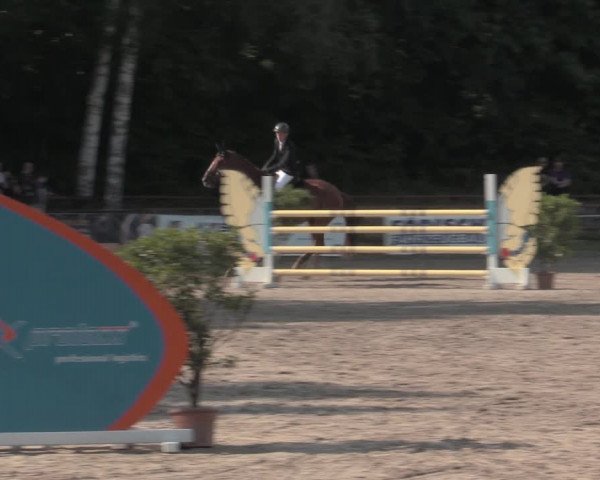 Reitturnier Lgl.-Oberhain, B95 2022