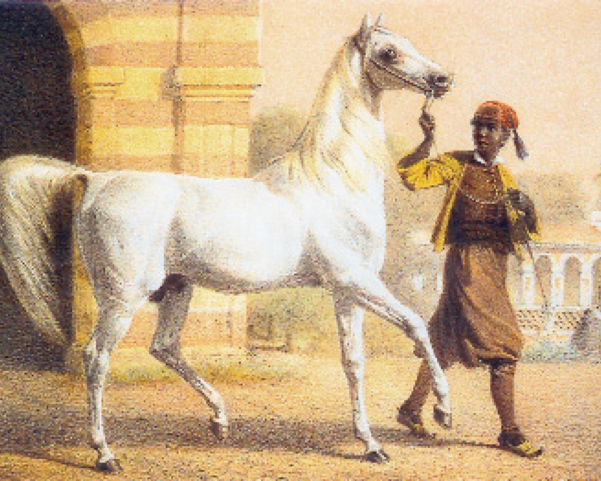 Deckhengst Bairactar DB (Vollblutaraber, 1813)