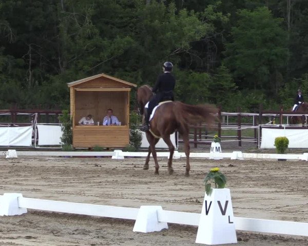 Reitturnier Frechen-Grefrath - Sonnenhof 2022