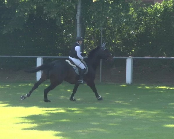 Reitturnier Forst 2022