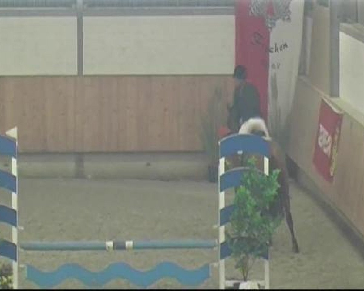 jumper Saint Andrews (Rhinelander, 2002, from Societe)