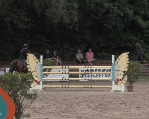 Reitturnier Lgl.-Oberhain, B95 2022