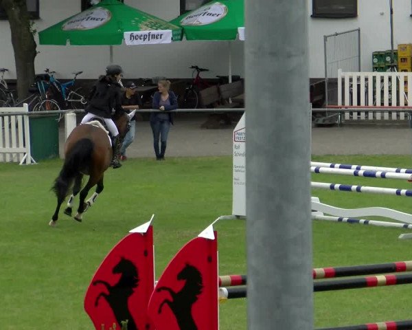 Reitturnier Forst 2022