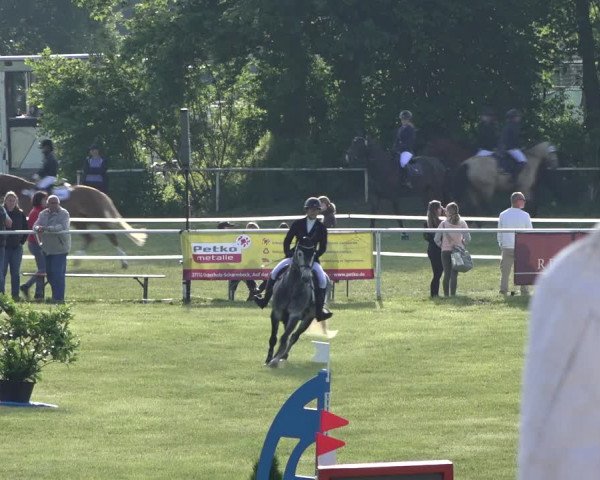 Reitturnier Pennigbüttel 2022