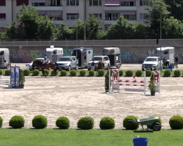 Reitturnier Schänzli, Basel 2022