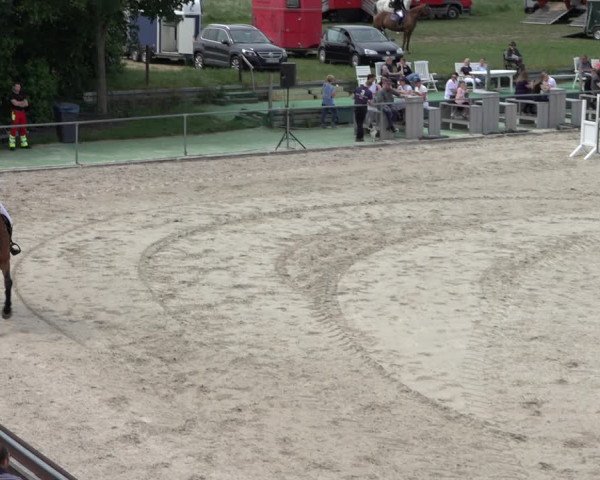 Reitturnier Harsum-Hüddessum 2022