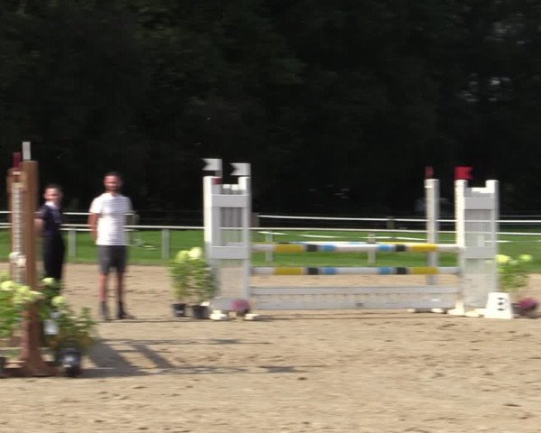 Reitturnier Haltern am See 2021