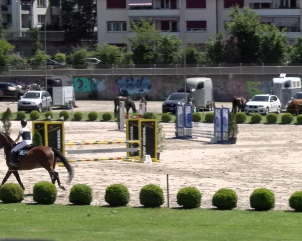 Reitturnier Schänzli, Basel 2022