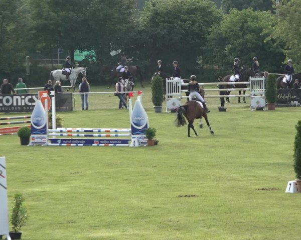 Reitturnier Pennigbüttel 2022