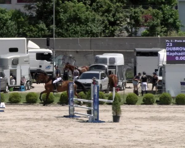 Reitturnier Schänzli, Basel 2022