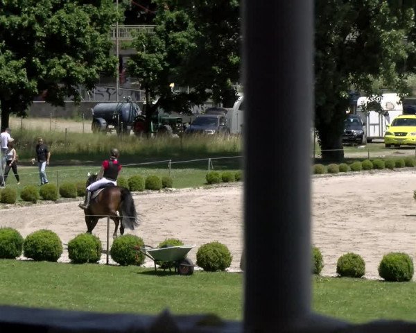 Reitturnier Schänzli, Basel 2022