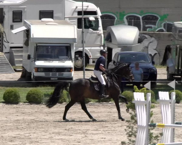 Reitturnier Schänzli, Basel 2022