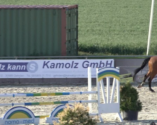 Reitturnier Harsum-Hüddessum 2022