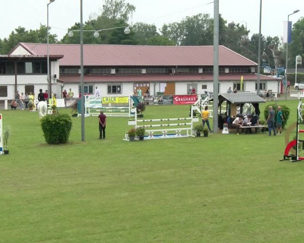 Reitturnier Forst 2022