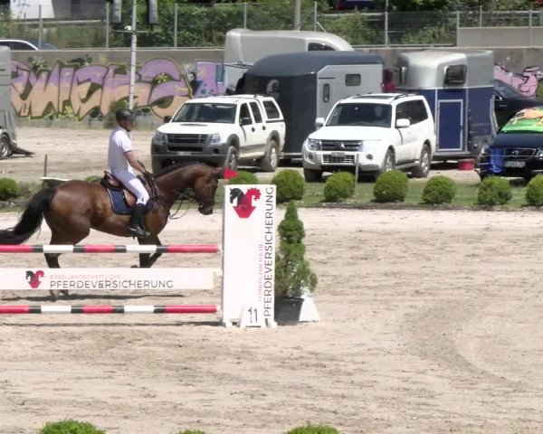 Reitturnier Schänzli, Basel 2022