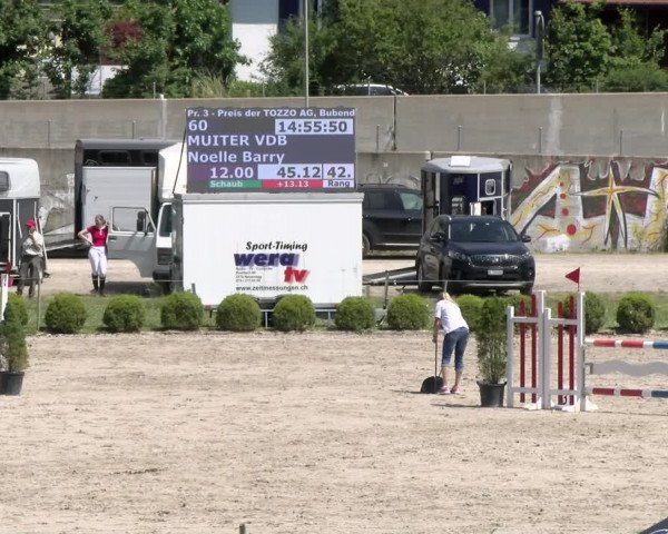 Reitturnier Schänzli, Basel 2022