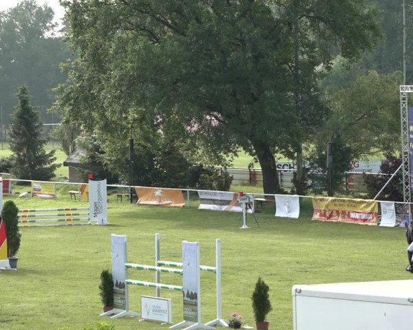Reitturnier Pennigbüttel 2022