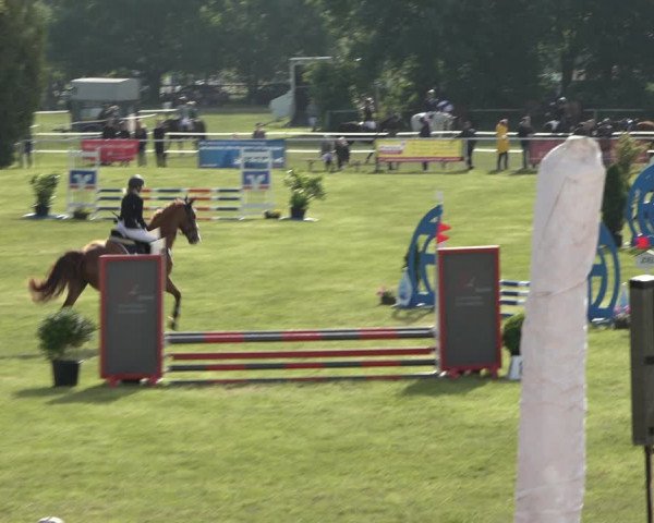 Reitturnier Pennigbüttel 2022