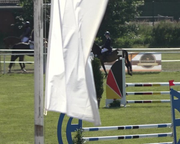 Reitturnier Pennigbüttel 2022
