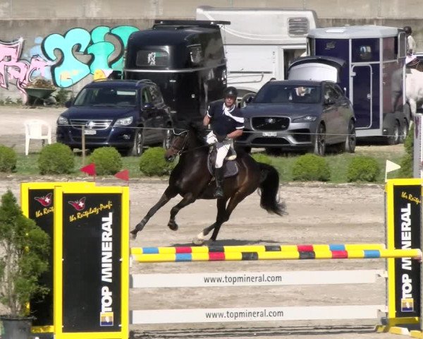 Reitturnier Schänzli, Basel 2022