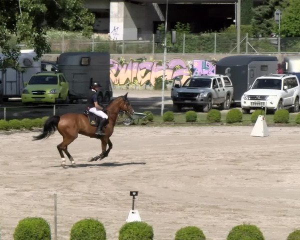 Reitturnier Schänzli, Basel 2022