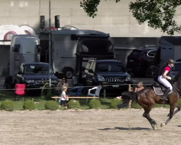Reitturnier Schänzli, Basel 2022