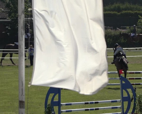 Reitturnier Pennigbüttel 2022