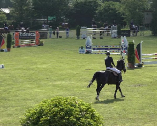 Reitturnier Pennigbüttel 2022