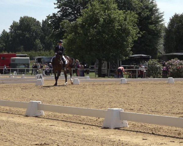 Reitturnier Pennigbüttel 2022