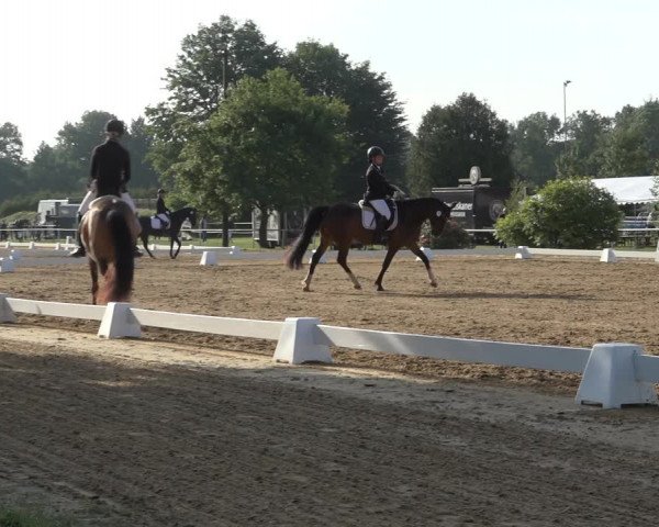 Reitturnier Pennigbüttel 2022