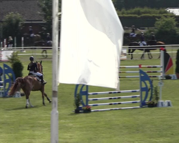 Reitturnier Pennigbüttel 2022