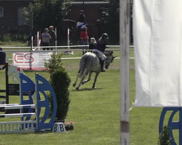 Reitturnier Pennigbüttel 2022