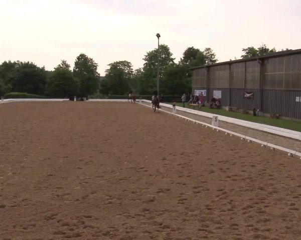 Reitturnier Neustadt/Aisch/Mfr. 2022