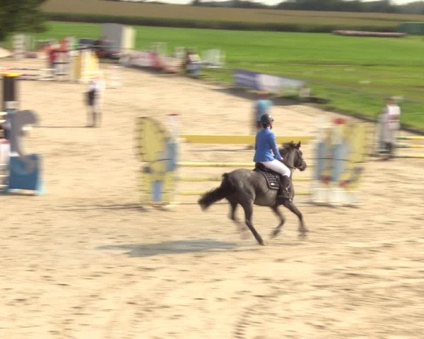 Springreitturnier Hohburg 2021