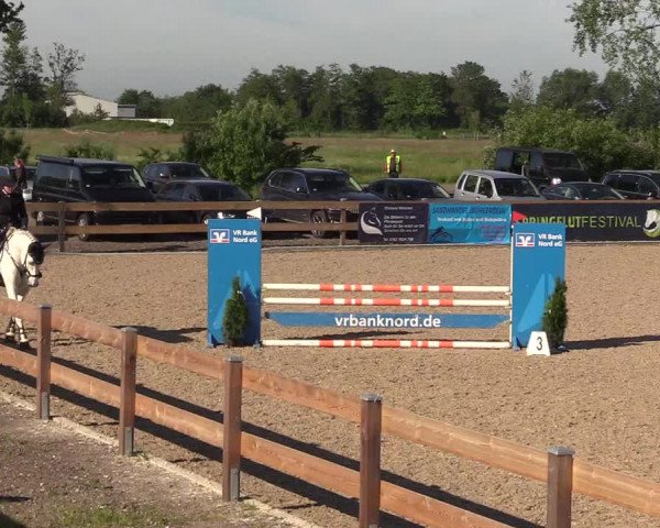 Springturnier Niebüll 2022