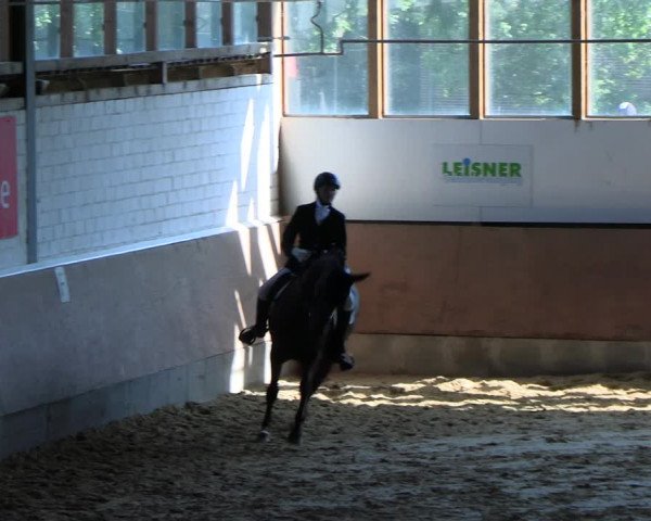 Reitturnier Everswinkel 2022